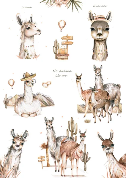 Desenhos Animados Lama Ilustrações Planas Personagens Lhamas Alpaca Bonitos Sorrindo — Fotografia de Stock