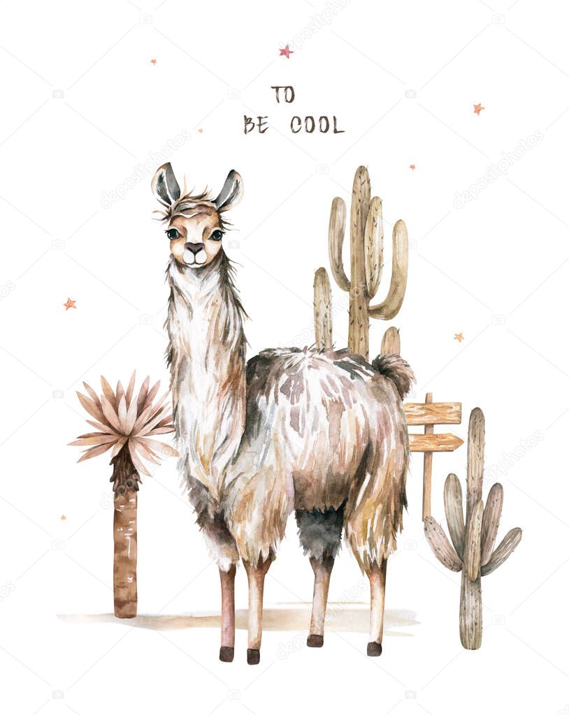 Cartoon lama flat illustrations. Cute llamas alpaca characters smiling, walking, jumping, sleeping in Peru desert landscape with cactuses. Mexican funny lama animal collection isolated
