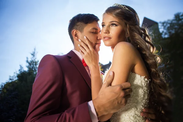 Wedding, Bride, Groom — Stock Photo, Image