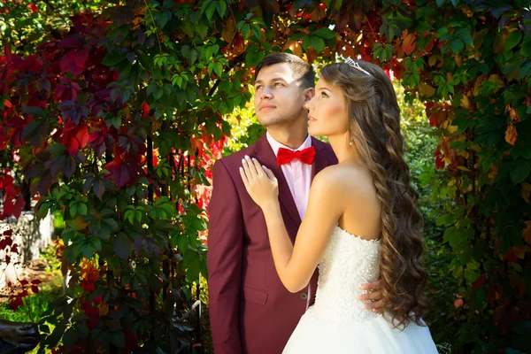 Gelin ve damat bir parkta