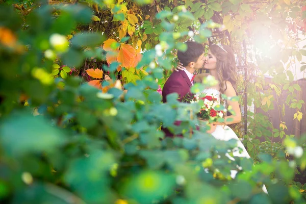 Feliz elegante novio elegante con su hermosa novia en el parque —  Fotos de Stock