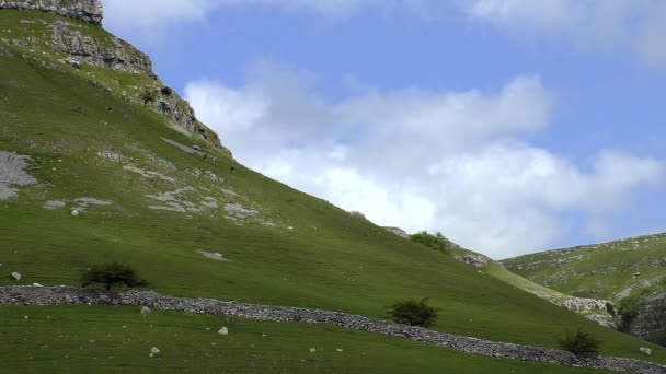 Gruppo di quattro persone arrampicata in montagna — Video Stock