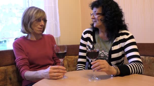 Zwei Damen, die Wein trinken — Stockvideo