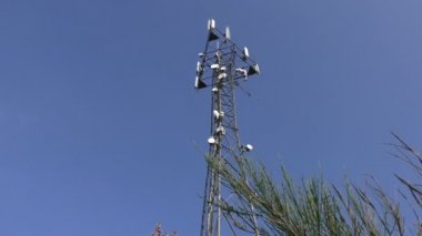 Telekomünikasyon Kulesi ve çalı