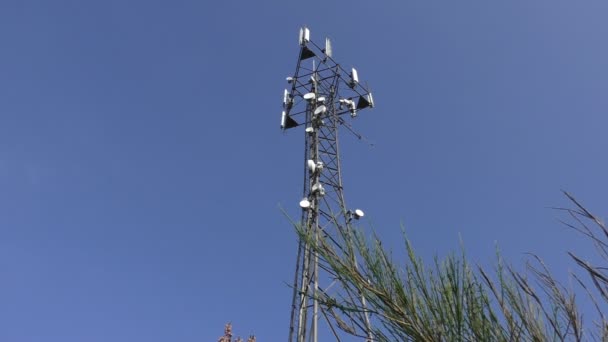 Телекоммуникационная башня и кустарник — стоковое видео