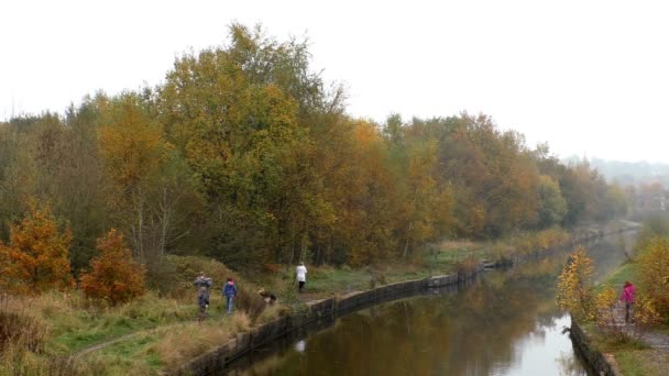 Promenade familiale d'automne au bord de la rivière — Video