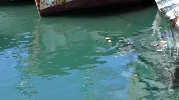 Agua contaminada del muelle — Vídeo de stock