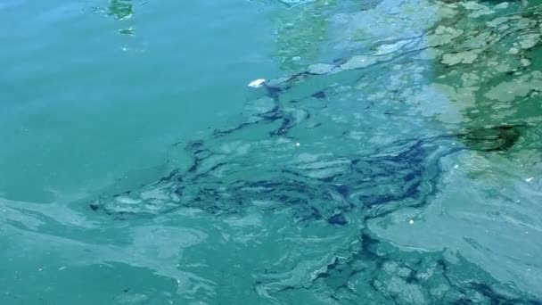 Zanieczyszczonej wody turkus tło — Wideo stockowe