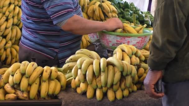 Vendeur de marché aux fruits vendant des bananes — Video