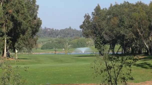 Campo de golfe marroquino olhar mais de perto — Vídeo de Stock