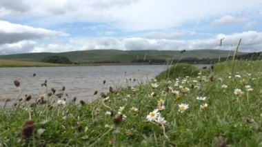 Malham Tarn gölde rüzgarlı