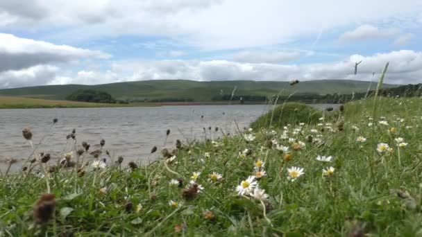 Wietrzne nad jeziorem Malham Tarn — Wideo stockowe