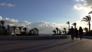 Tropik sahil mesire akşam