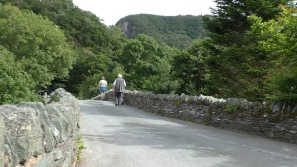 Anziani che camminano sul vecchio ponte — Video Stock