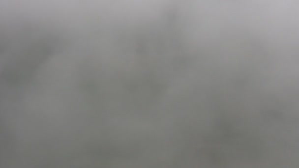 雲の中で航空機を着陸 — ストック動画