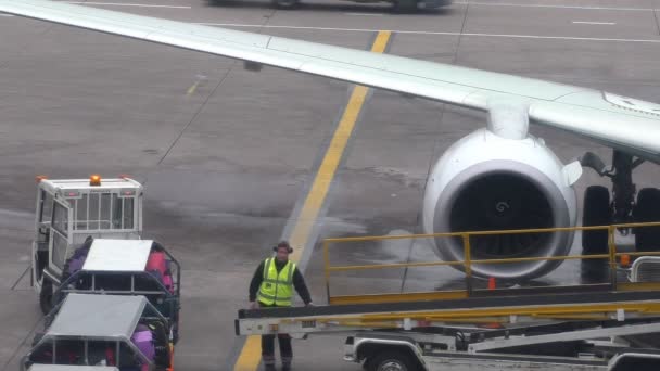 Człowiek, załadunek samolotu bagażu — Wideo stockowe