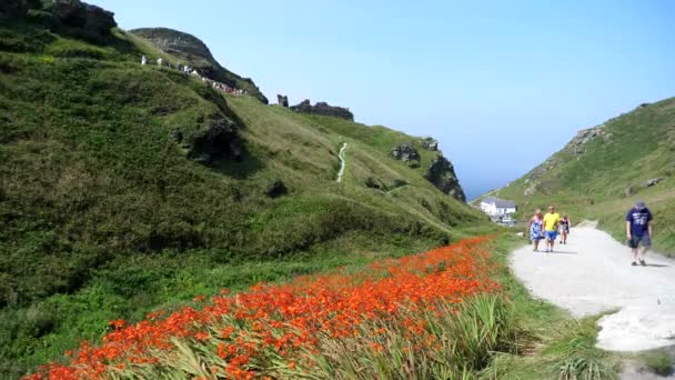 Cornwall Inglaterra Reino Unido Circa Agosto 2020 Gente Caminando Desde — Vídeo de stock