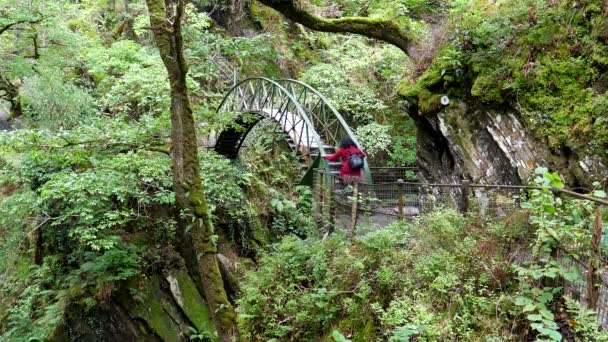 Mulher Casaco Vermelho Andando Ponte Corcunda Sobre Devil Bridge Falls — Vídeo de Stock