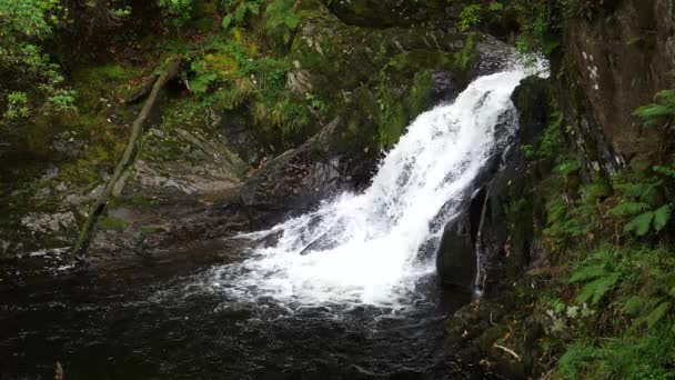 Vattenfall Och Bassäng Vid Devil Bridge Faller Wales Storbritannien — Stockvideo