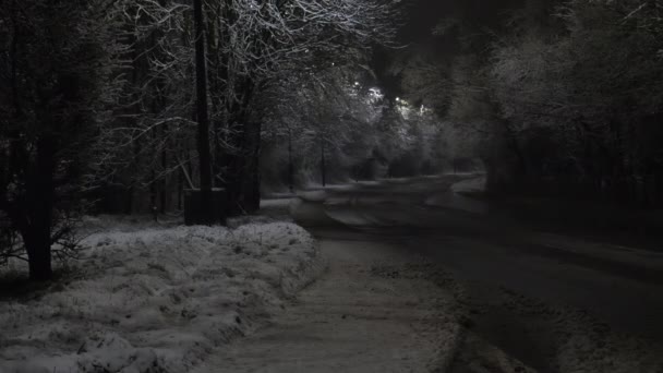 Geparkeerd Weg Auto Voorruit Uitzicht Winter Nachts Het Sneeuwt Het — Stockvideo