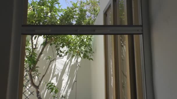 Main Tirant Vers Bas Moustiquaire Sur Porte Jardin Dans Une — Video