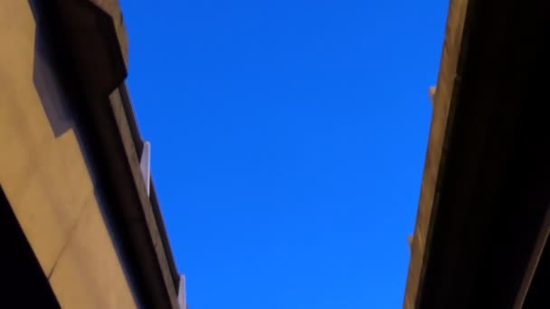 透过桥上的缝隙俯瞰深蓝色夜空中的树木和月亮 — 图库视频影像
