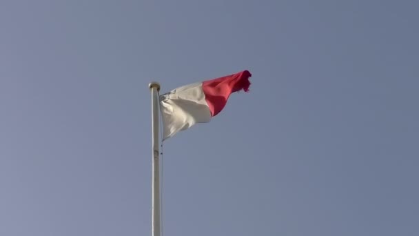 Low Angle View Tattered Flag Malta White Flagpole Waving Blue — Stock Video