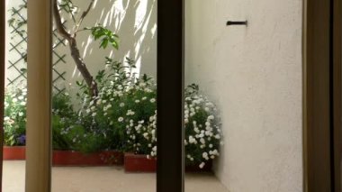 Kapı yavaşça açılıyor. Beyaz çiçekli küçük bir bahçe ya da arka bahçe..