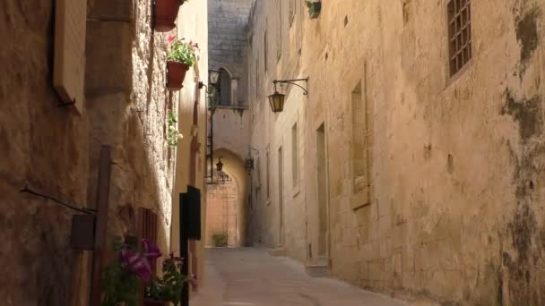Blommor Dekorerade Gamla Hus Ytterväggar Mdina Stad Malta — Stockvideo