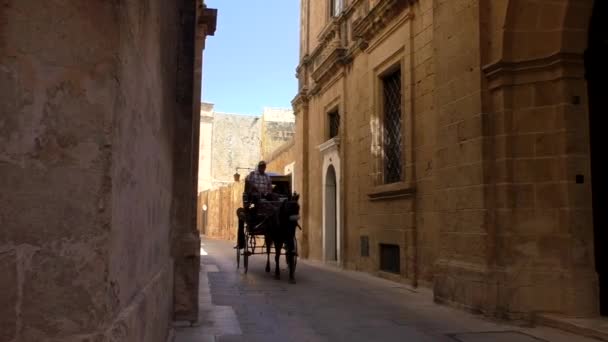 Mdina Malta Circa Mai 2015 Auf Der Schmalen Mittelalterlichen Maltesischen — Stockvideo