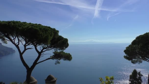 Paraguas Pino Contra Impresionante Mar Azul Cielo Costa Amalfi Italia — Vídeos de Stock