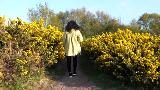 Vista Trasera Mujer Con Pelo Largo Caminando Camino Tierra Lejos — Vídeos de Stock
