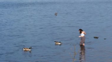 RUNCORN, CHESHIRE, BİRLİK KINGDOM - CRCA MAYIS 2021: Kız ya da genç kadın sığ suda duruyor ve kuşları besliyor, kazları,.