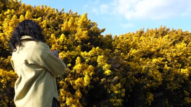 Uzun kıvırcık saçlı, yeşil ceketli, güneşli bir bahar gününde akıllı telefonuyla sarı çalı çiçeği fotoğrafları çeken bir kadın..