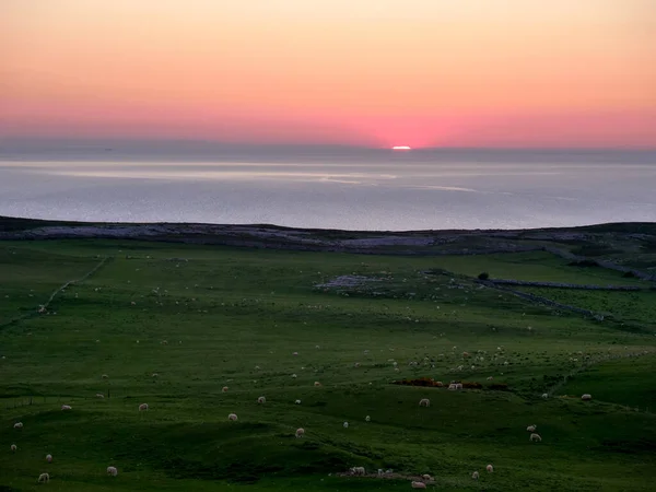 Θέα Στη Θάλασσα Από Λόφο Σούρουπο Ηλιοβασίλεμα Στη Θάλασσα Πρόβατα — Φωτογραφία Αρχείου