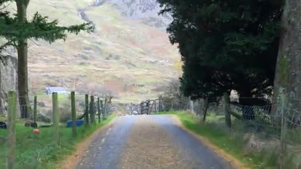 秋にSnowdonia山の狭い田舎道を運転車のフロントガラスビュー — ストック動画