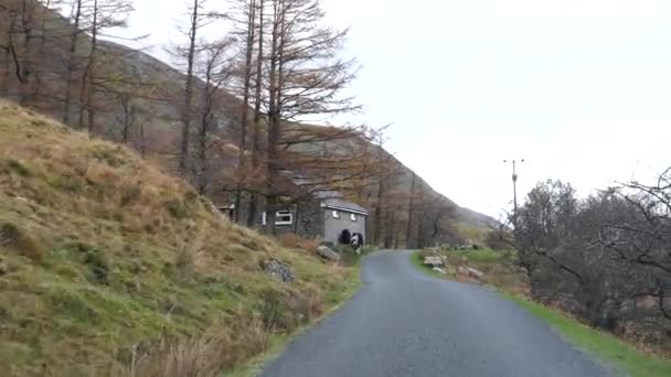 車のフロントガラスビューは 秋に石造りの家で2頭の馬の放牧草の近くに減速し 山岳ウェールズの田舎で狭い車線を運転 — ストック動画