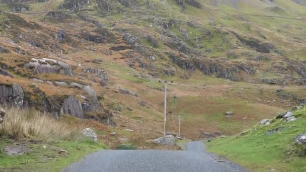 Steile Kronkelende Landbaan Bergen Van Snowdonia Herfst Wales Verenigd Koninkrijk — Stockvideo