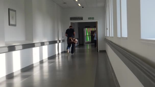 Kişisel Bakış Açısı Pov Hastane Koridorunda Yavaşça Yürüyor Personeli Takip — Stok video