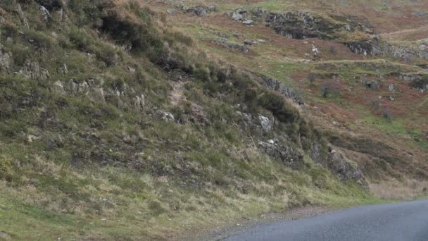 Guidare Stretta Strada Ripida Campagna Montagna Snowdonia Autunno — Video Stock