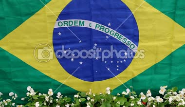 Brezilya bayrağı ve çiçekler