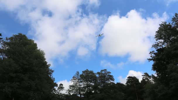 Посадка самолета над деревьями — стоковое видео