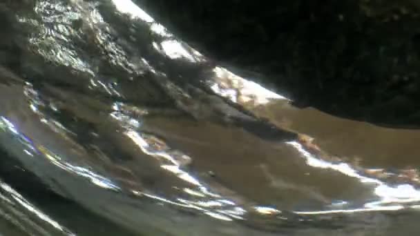 Reflejos de agua y luz abstractos — Vídeo de stock