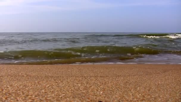 Sea waves breaking on sandy beach — Stock Video