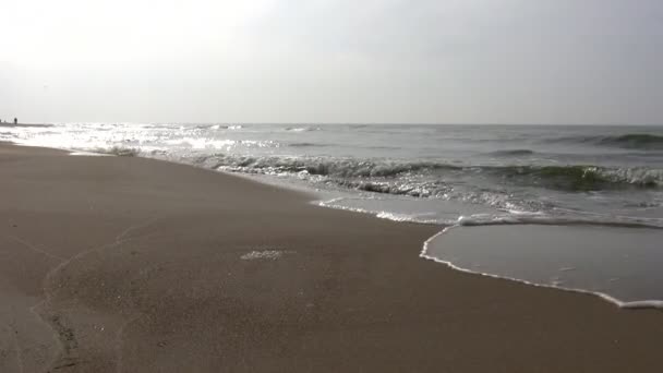 Praia no outono — Vídeo de Stock