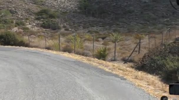 Carretera de palmeras en montañas — Vídeo de stock