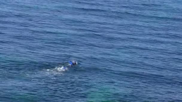 Hombre en traje de neopreno buceando en el mar azul — Vídeos de Stock