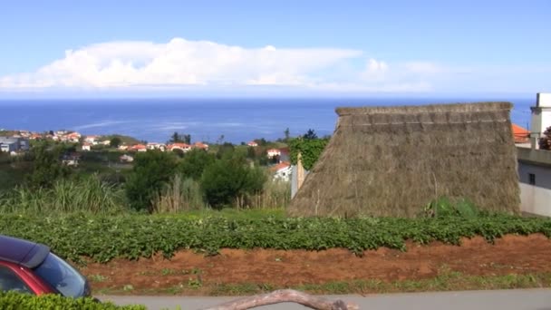 Vrouw schoffelen bodem in Madeira — Stockvideo