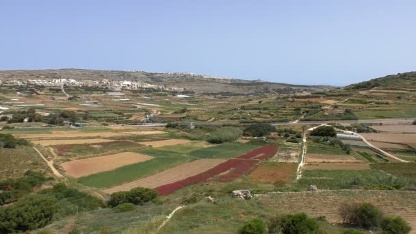 Landwirtschaftliche Landschaft der Insel Malta — Stockvideo