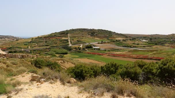 Malta insel ländliche landschaft — Stockvideo
